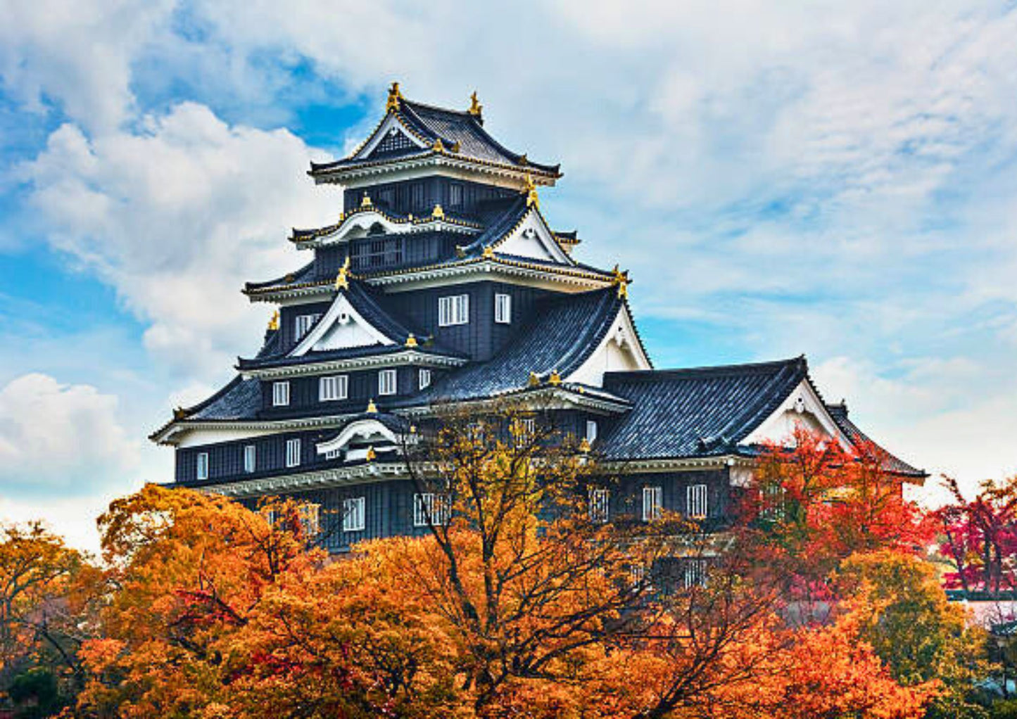 8天山陽・山陰私人包團