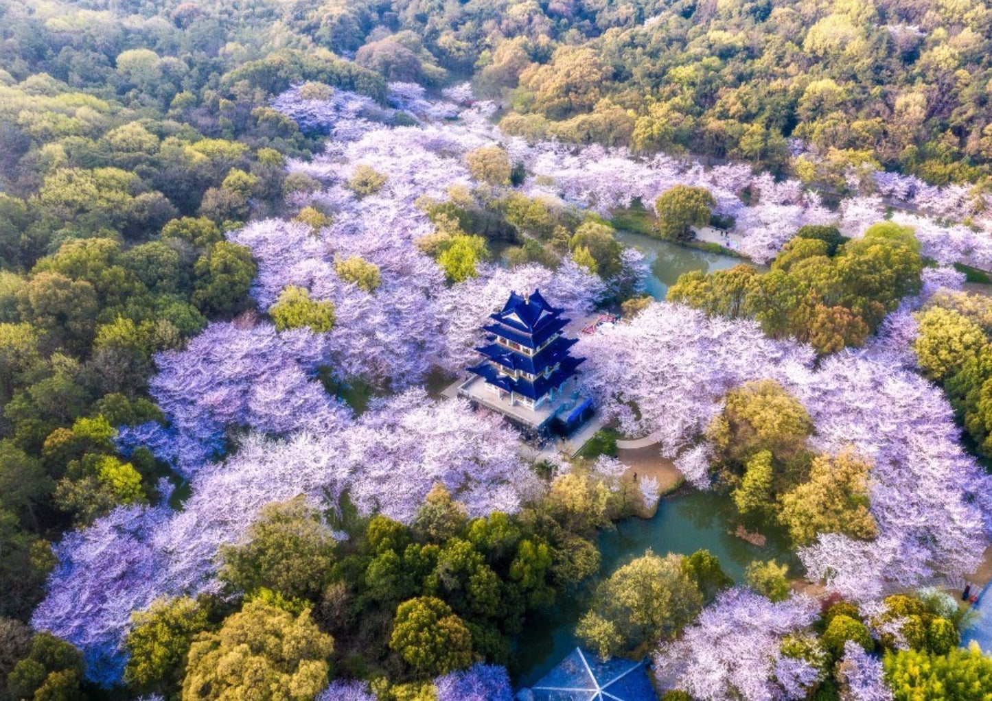 5 DAYS JIANGSU PRIVATE TOUR