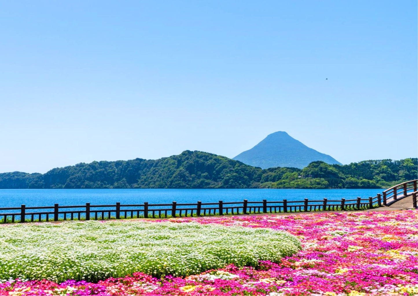 8 DAYS SOUTH KYUSHU PRIVATE TOUR