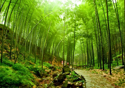 8 DAYS JIANGSU PRIVATE TOUR