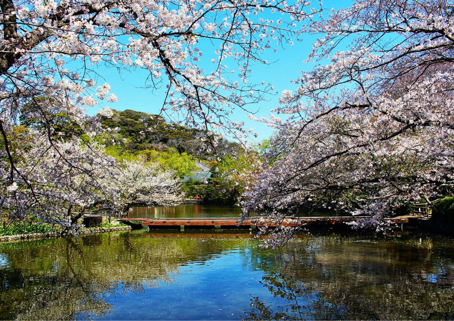 8日間の南関東プライベートチャーター