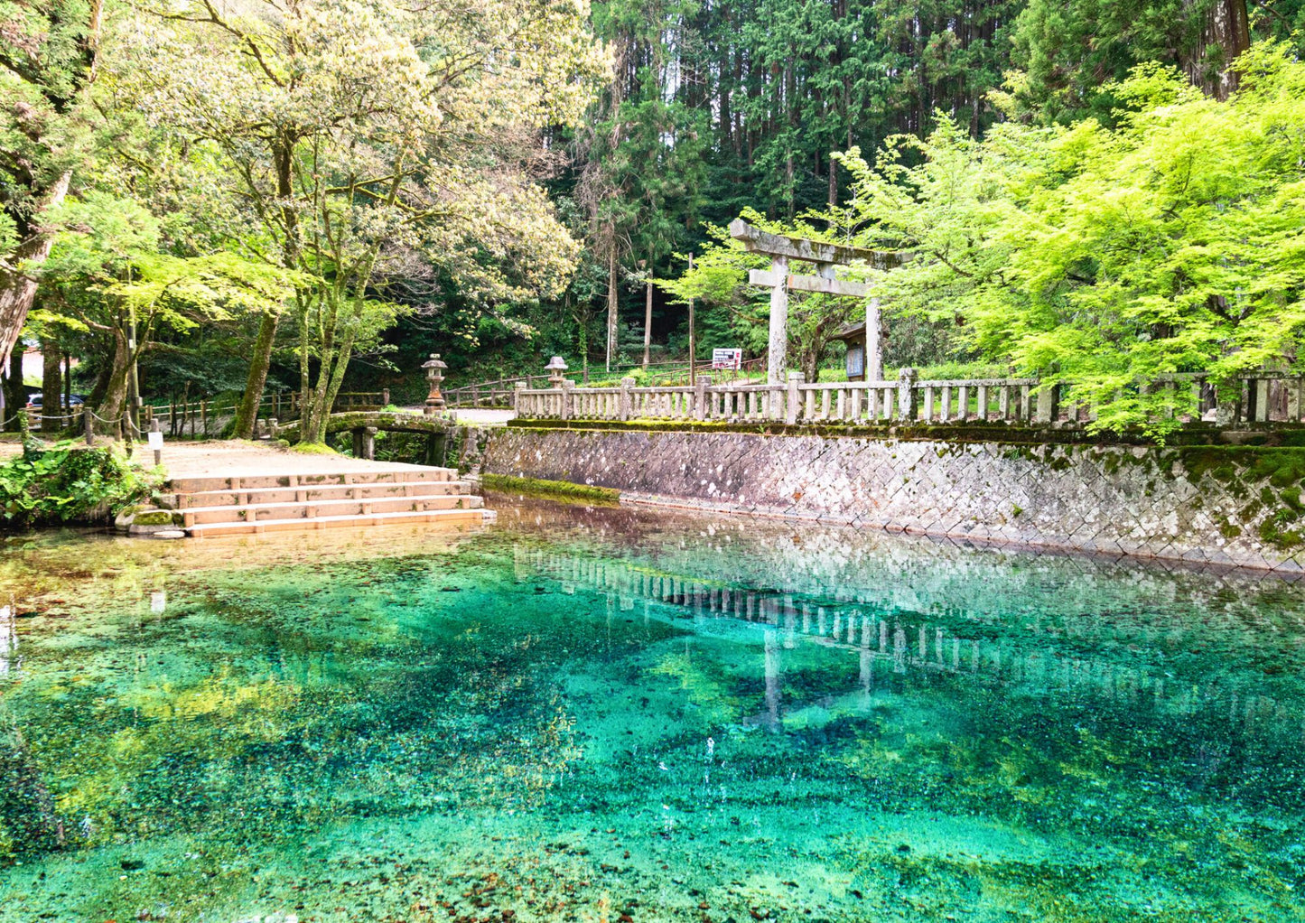 11 日間の山陽・山陰プライベートツアー