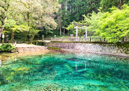 14天山陽・山陰私人包團