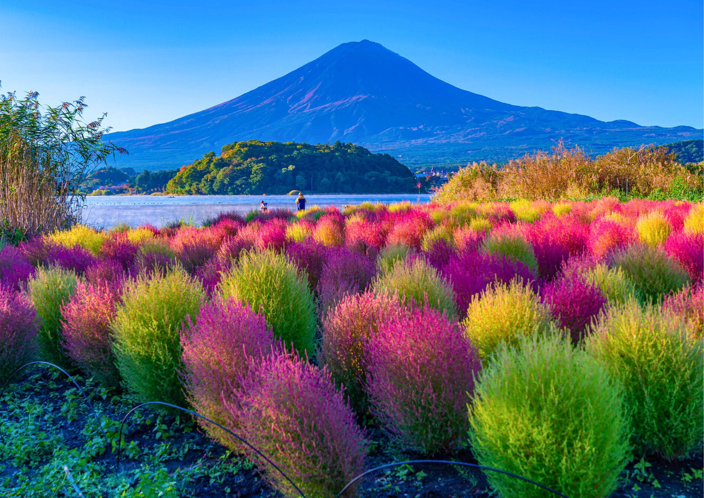 10天甲信越私人包團