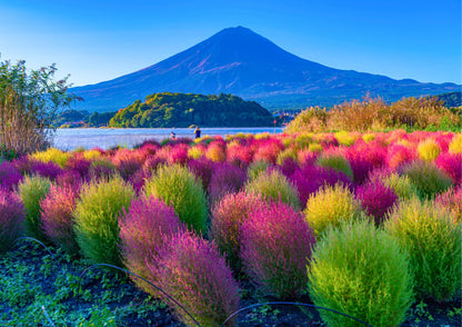 10天甲信越私人包團