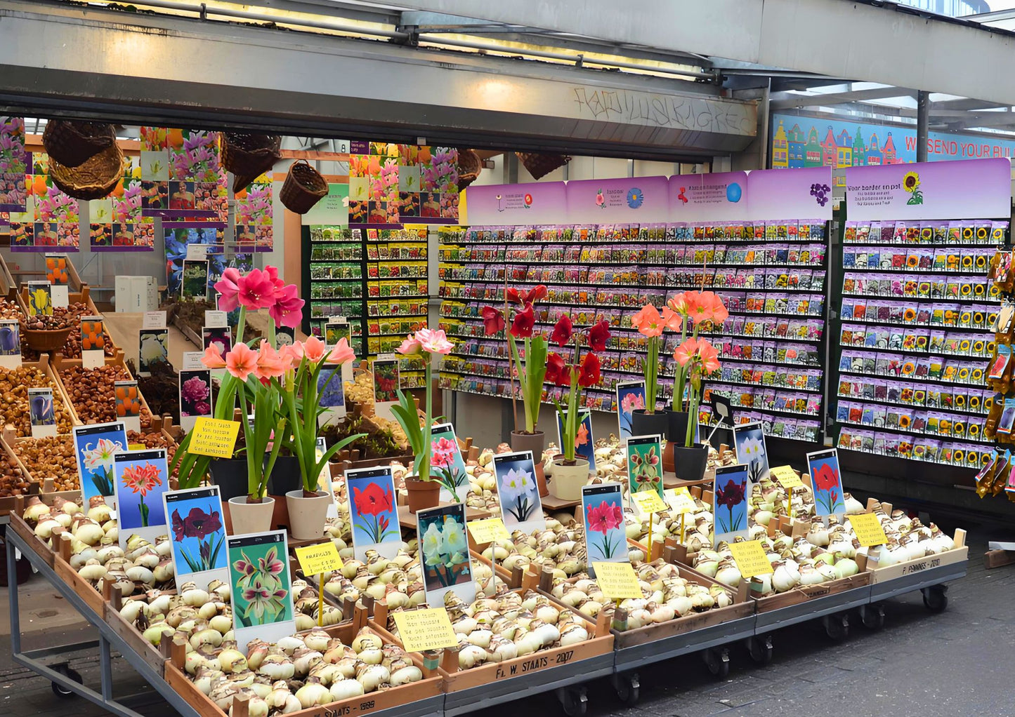 11 天荷蘭、比利時、盧森堡私人包團