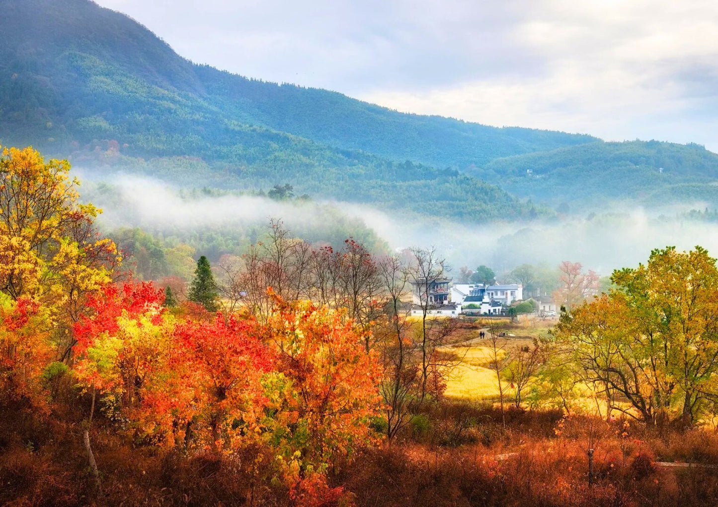7日間の黄山プライベートツアー