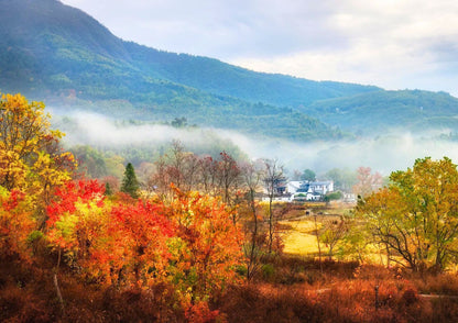 7日間の黄山プライベートツアー
