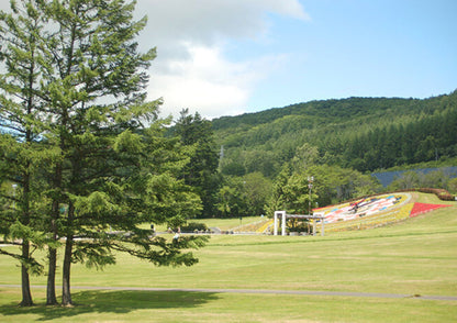 6 天北海道道東私人包團