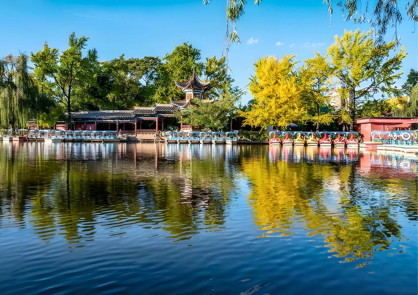 14 DAYS XISHUANGBANNA PRIVATE TOUR