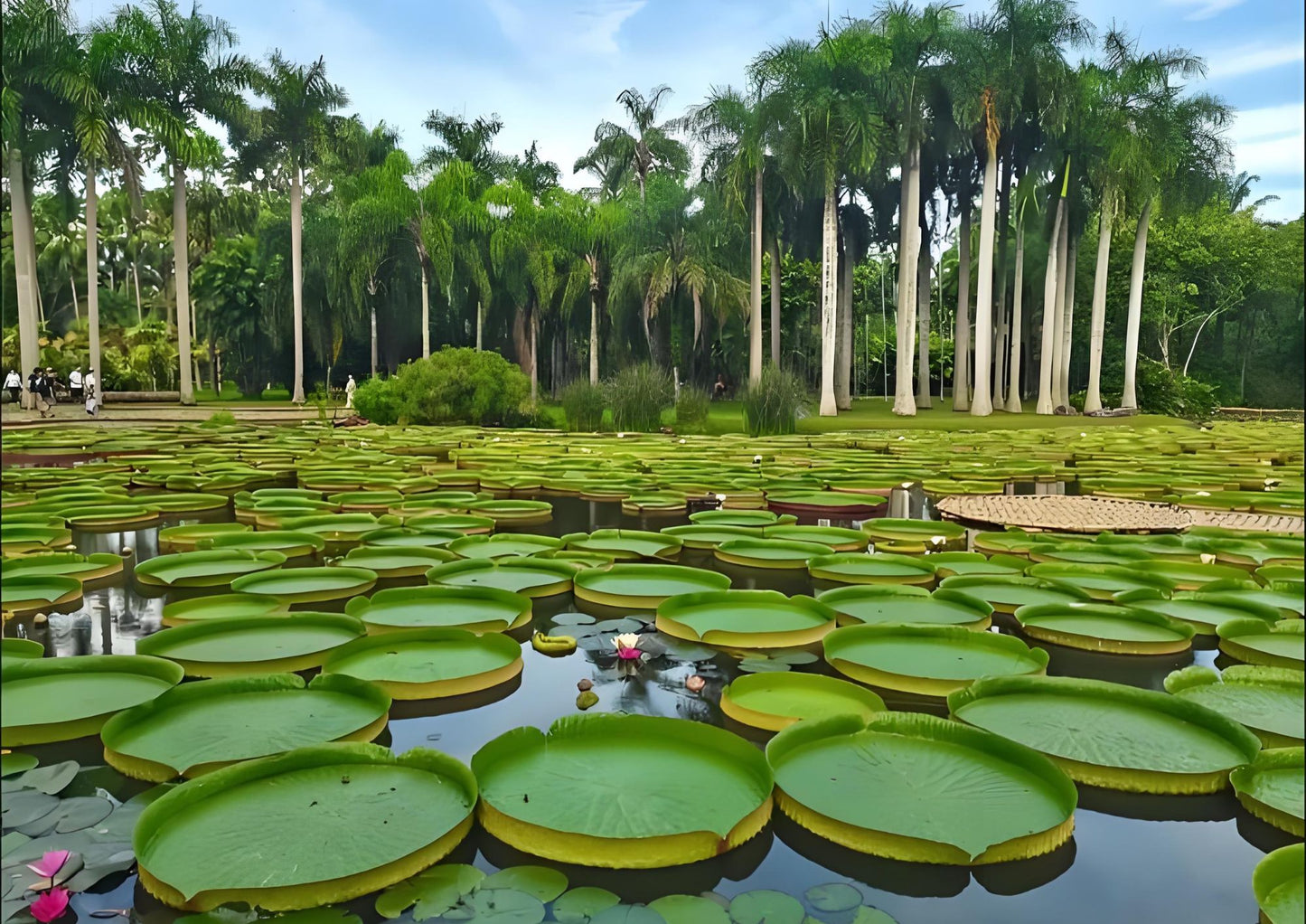 14 DAYS XISHUANGBANNA PRIVATE TOUR