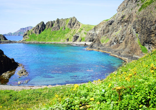 7 天北海道道北私人包團