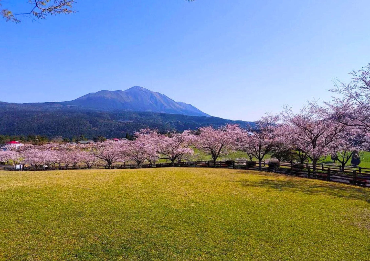 8 DAYS SOUTH KYUSHU PRIVATE TOUR