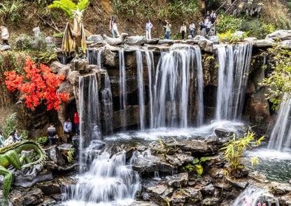 4 DAYS QINGYUAN PRIVATE TOUR