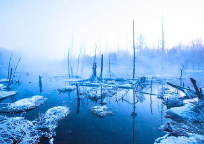 8 DAYS HARBIN PRIVATE TOUR