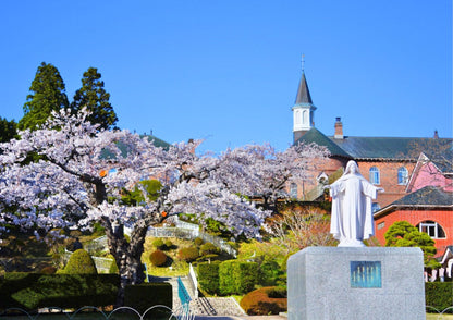 7 DAYS SOUTH HOKKADIO PRIVATE TOUR