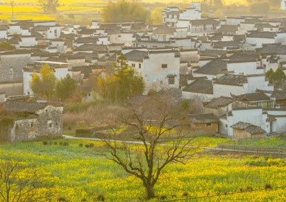 7日間の黄山プライベートツアー