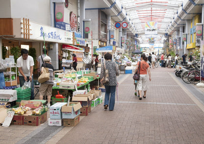 10天甲信越私人包團
