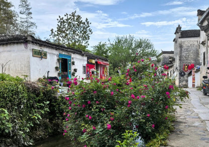 7日間の黄山プライベートツアー