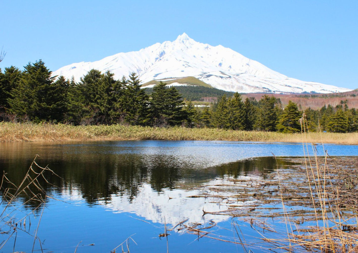 7 DAYS NORTH HOKKADIO PRIVATE TOUR