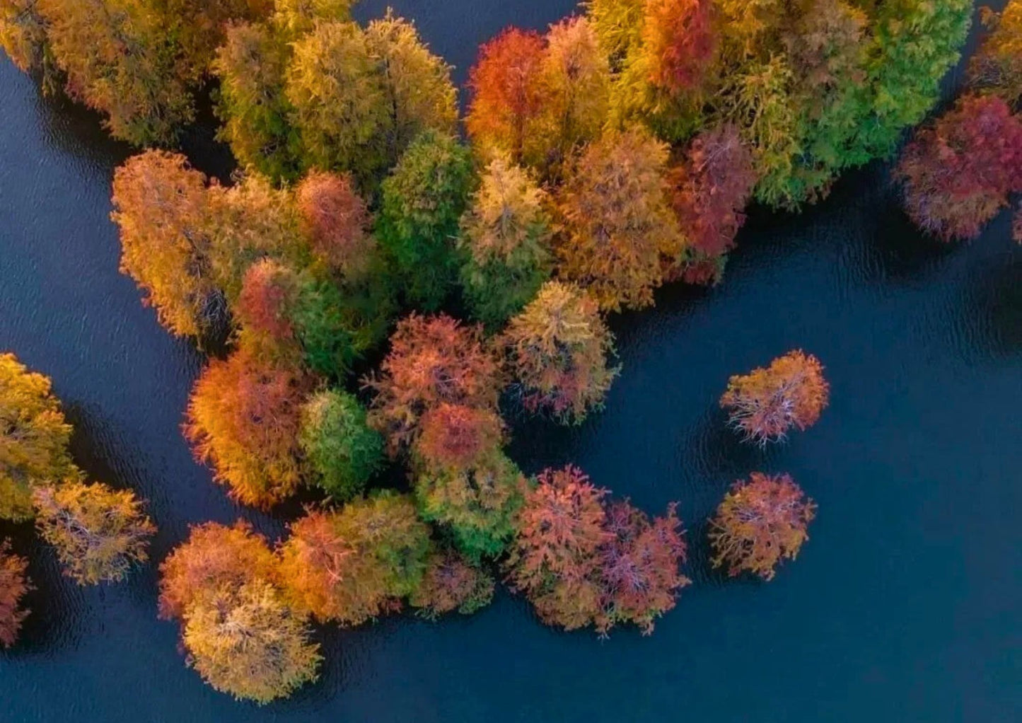 7日間の黄山プライベートツアー