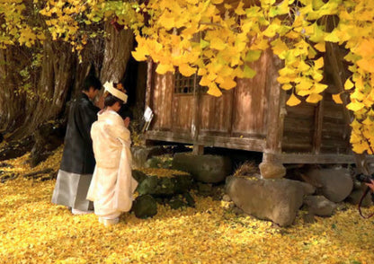 10天甲信越私人包團