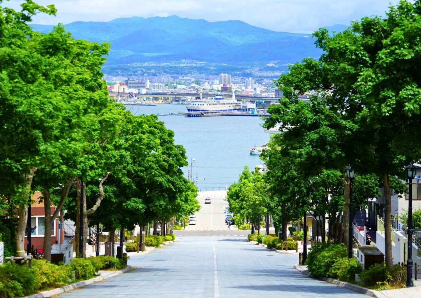 6 天北海道道南私人包團