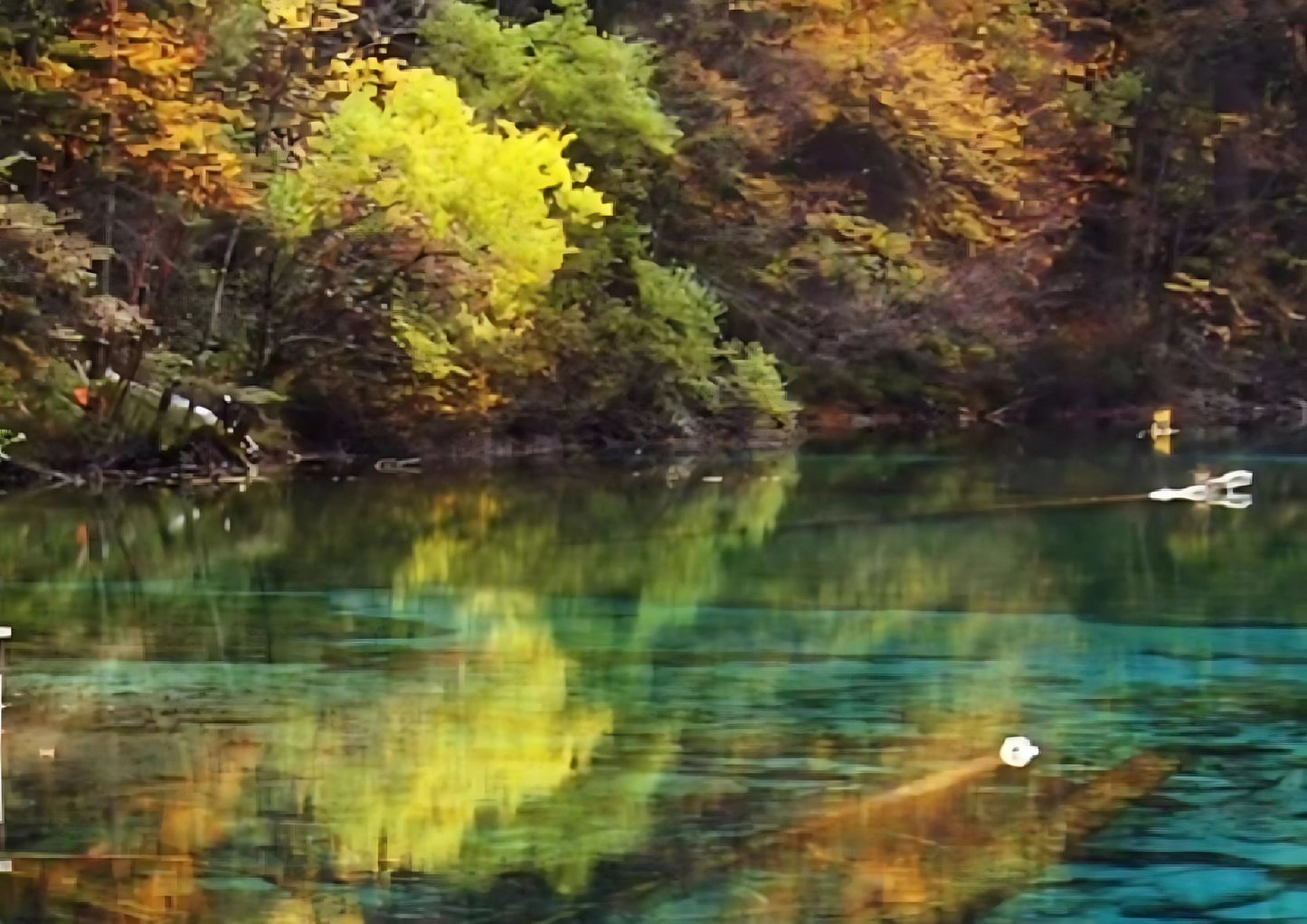 8 DAYS JIUZHAIGOU PRIVATE TOUR