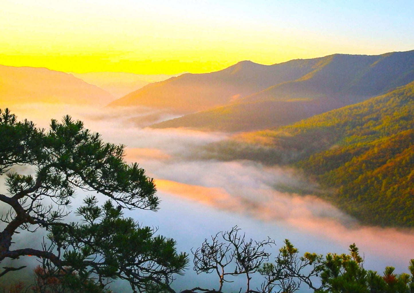 8 DAYS HARBIN PRIVATE TOUR