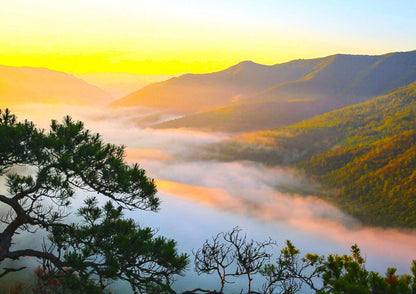 8 DAYS HARBIN PRIVATE TOUR