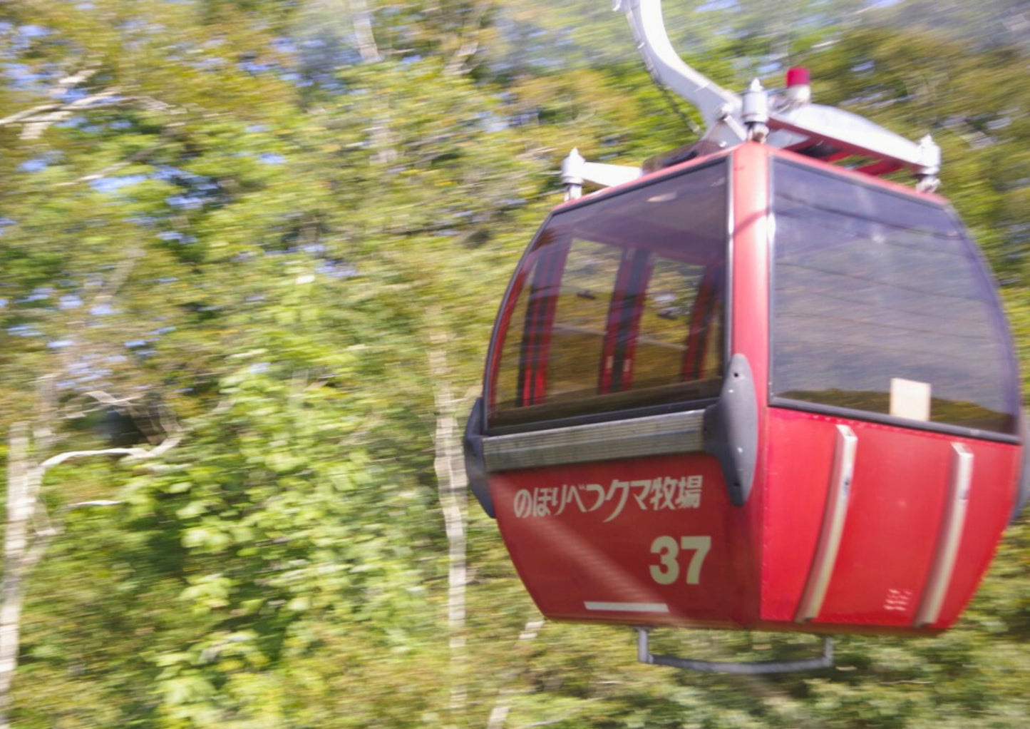 6 天北海道道南私人包團