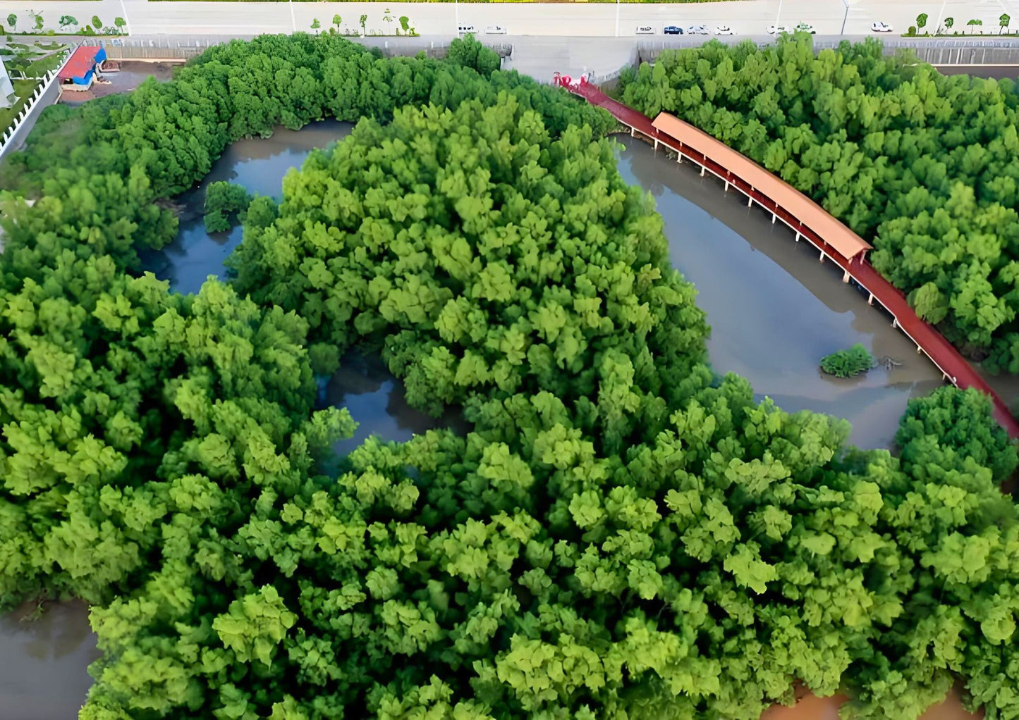 4 DAYS HUIZHOU PRIVATE TOUR