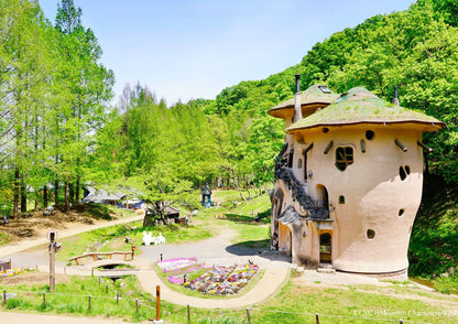 5 DAYS SOUTH KANTO PRIVATE TOUR