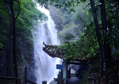 4 DAYS HUIZHOU PRIVATE TOUR