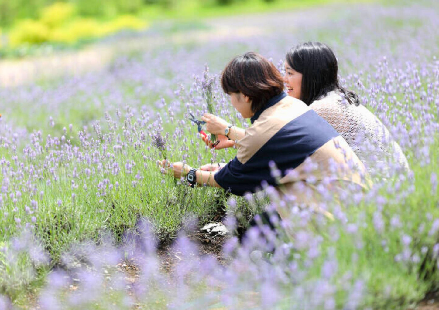 12天山陽・山陰私人包團