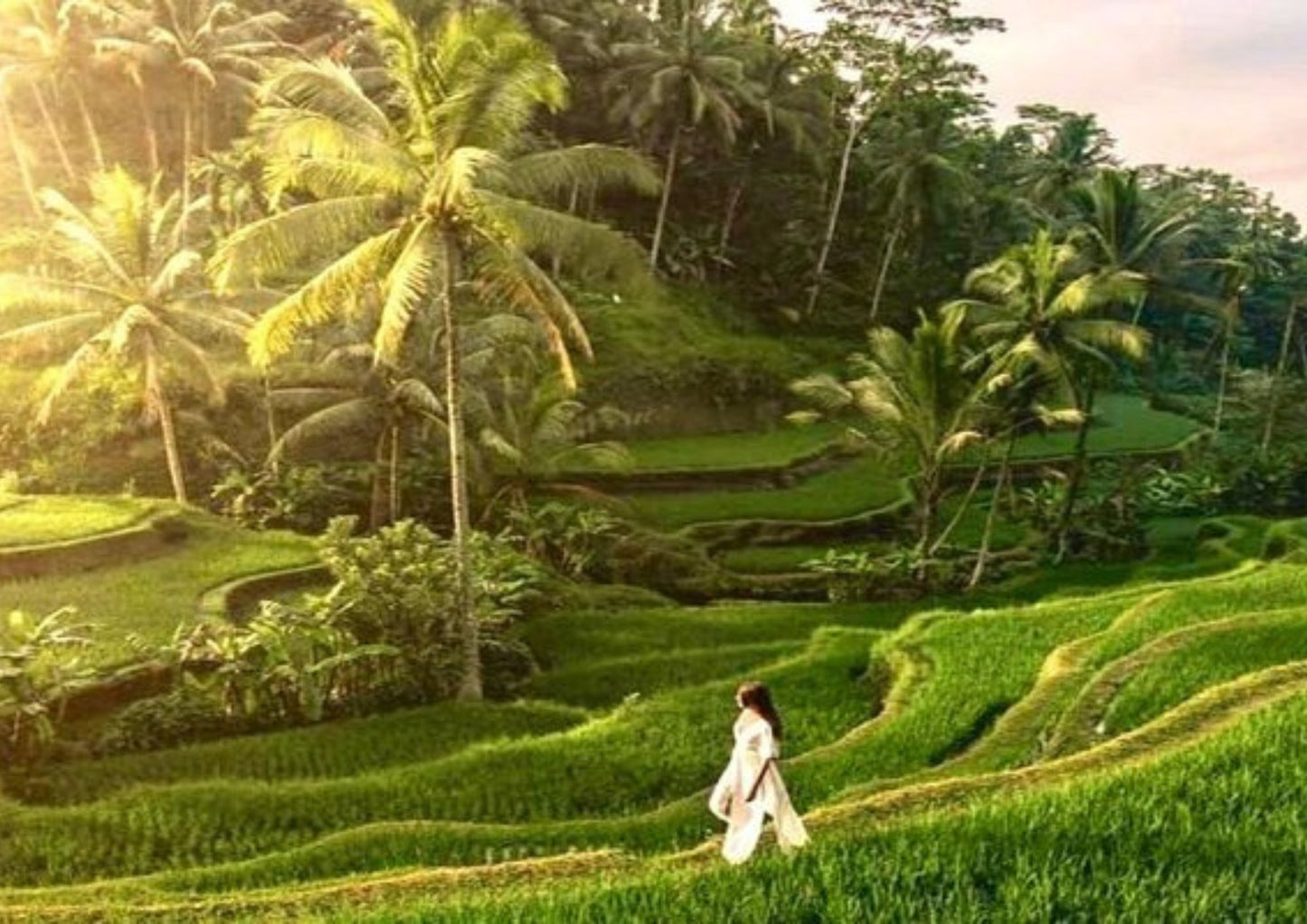 6 DAYS BALI PRIVATE TOUR