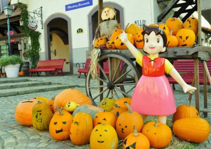 10天甲信越私人包團