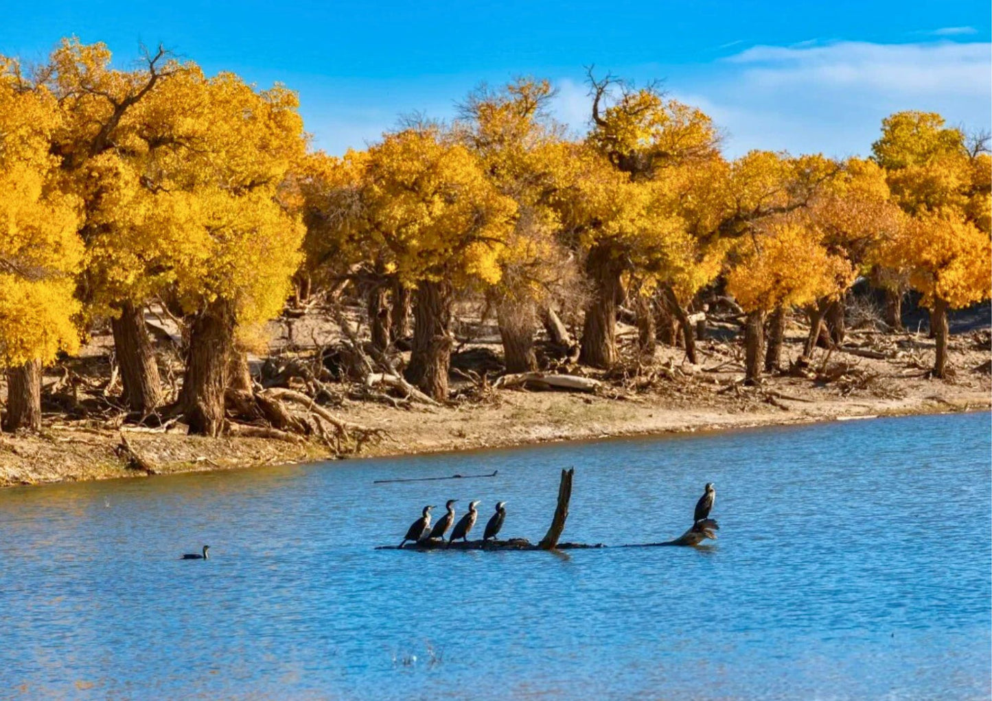 10 DAYS NORTH & EAST XINJIANG PRIVATE TOUR