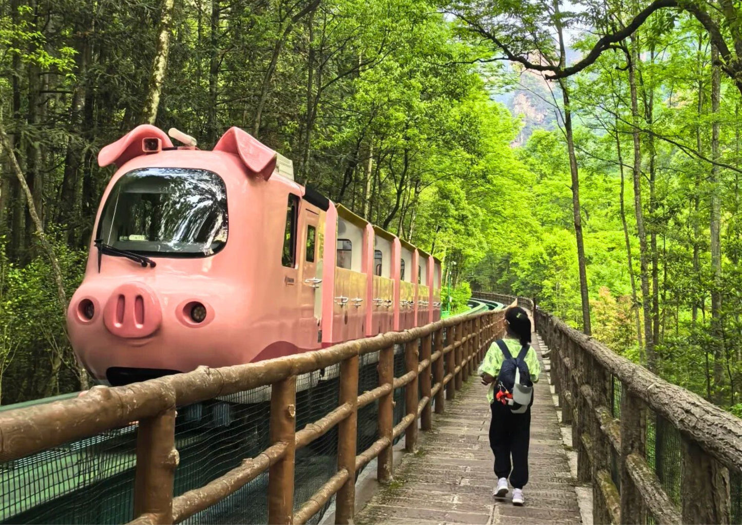 7日間の張家界プライベートツアー