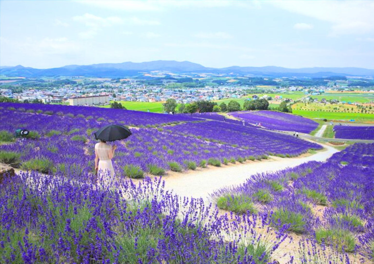 5 DAYS EAST HOKKADIO PRIVATE TOUR