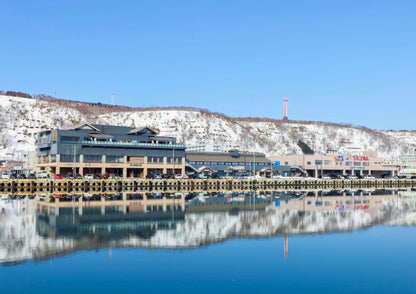 7 天北海道道北私人包團