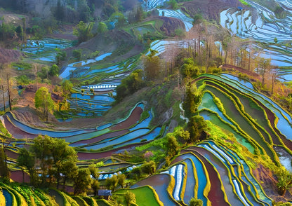 14 DAYS XISHUANGBANNA PRIVATE TOUR