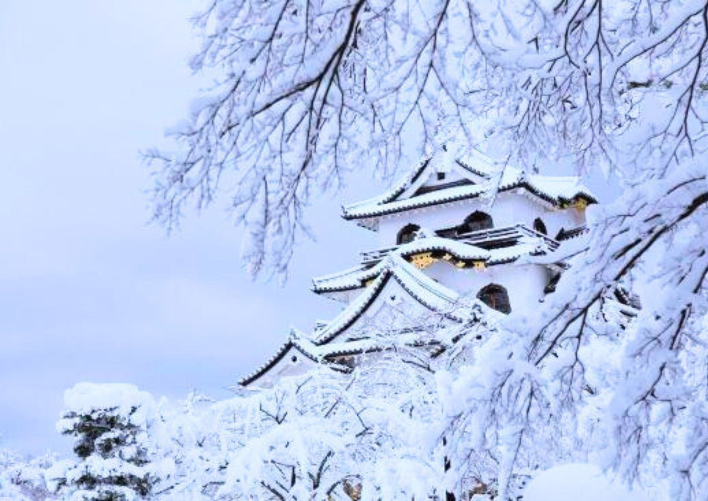 6天東關西私人包團