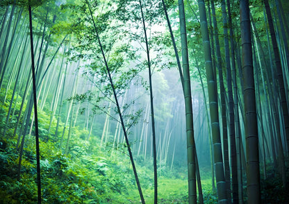 8 DAYS JIANGSU PRIVATE TOUR