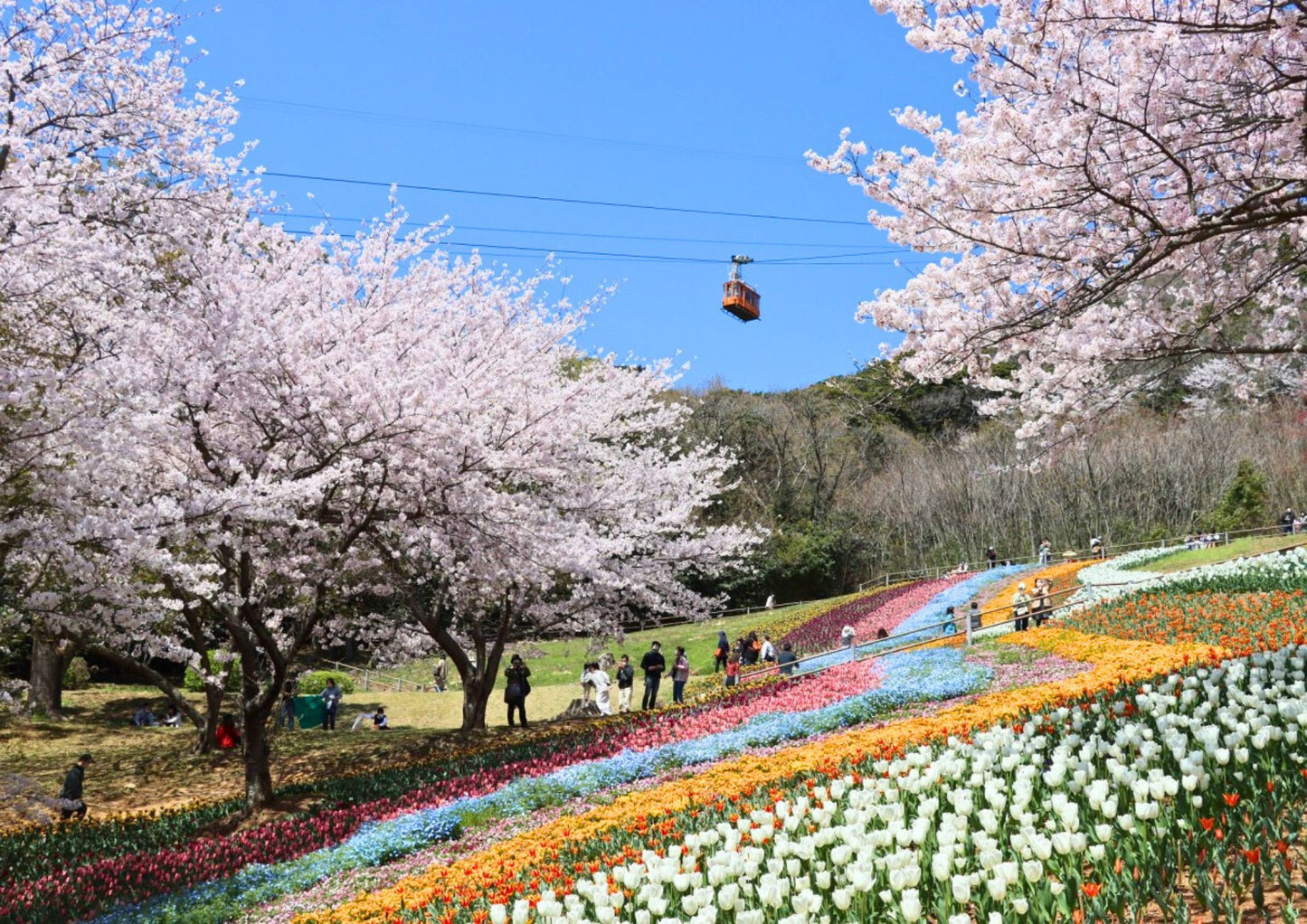 14日間の山陽・山陰プライベートツアー