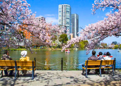 8 DAYS SOUTH KANTO PRIVATE TOUR