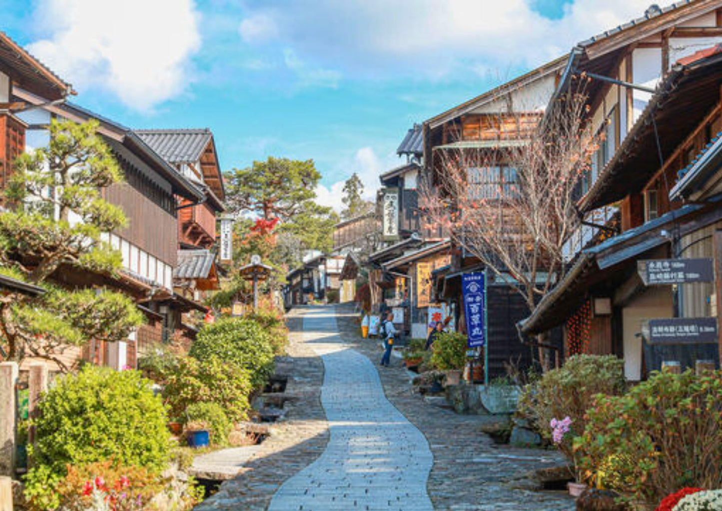 5 DAYS SHIRAKAWA-GO PRIVATE TOUR