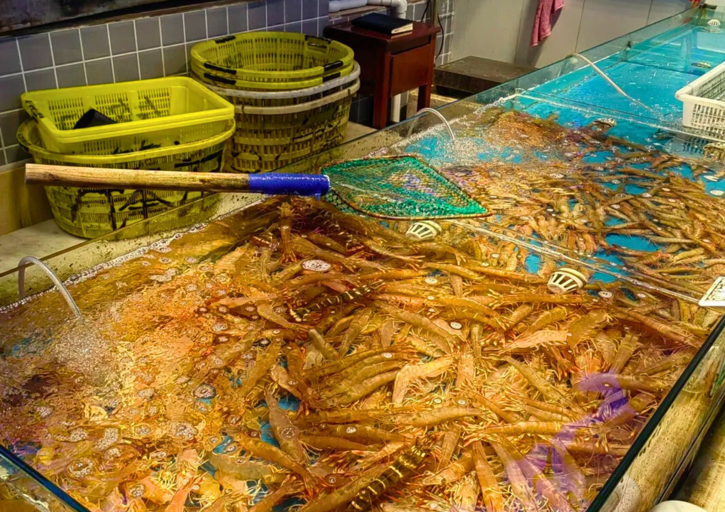 3 DAYS ZHANJIANG PRIVATE TOUR