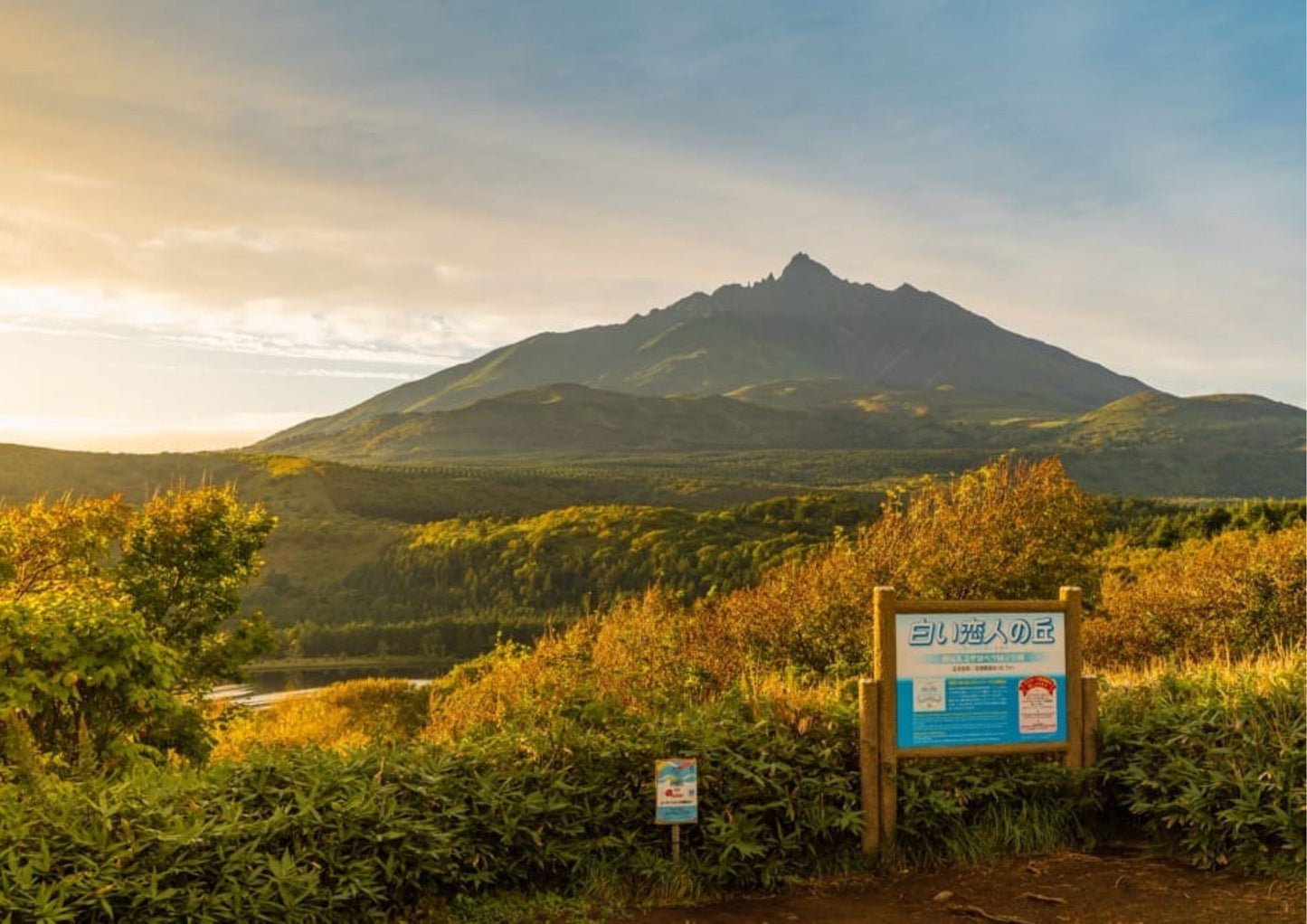 7 天北海道道北私人包團