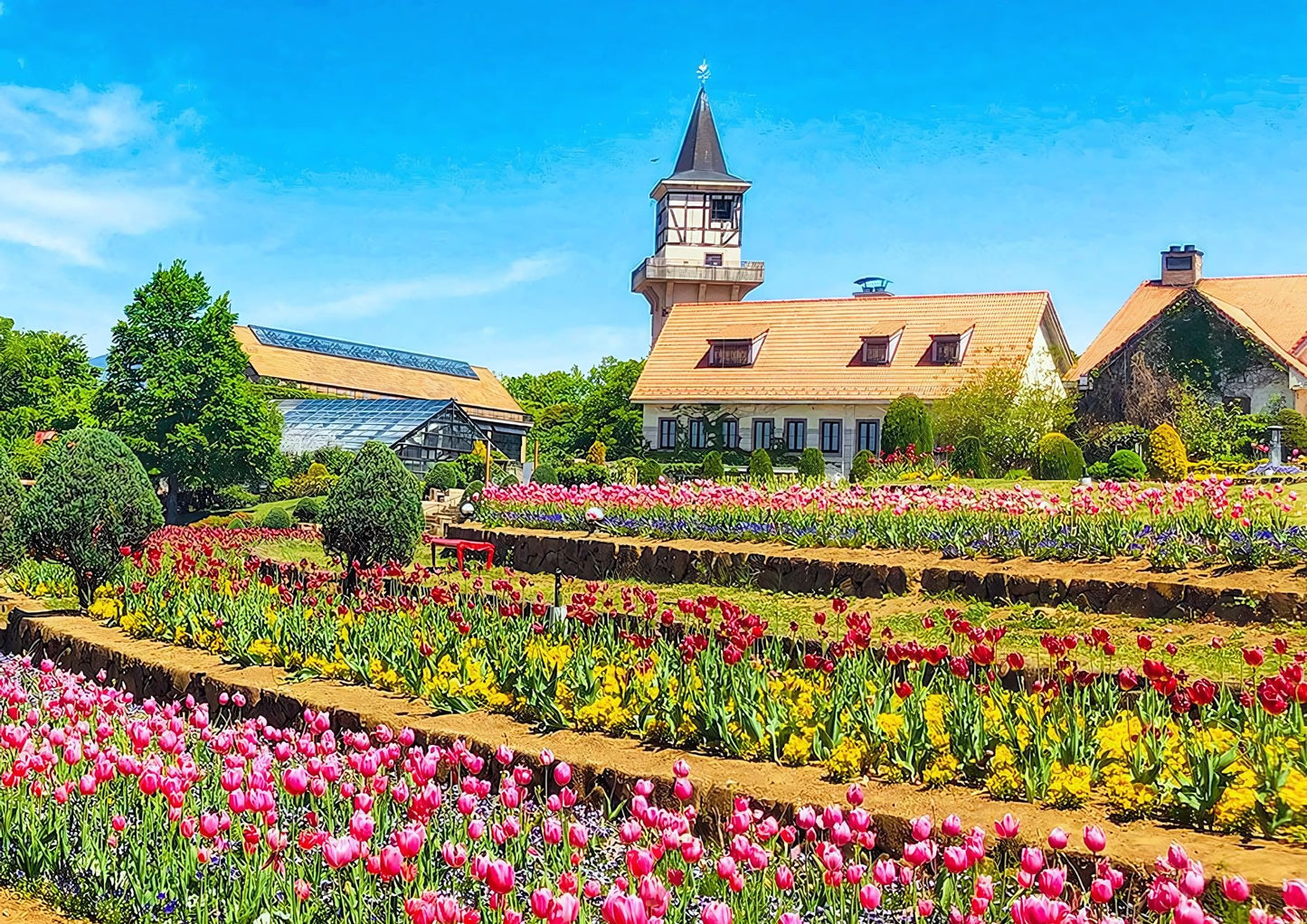 10天甲信越私人包團